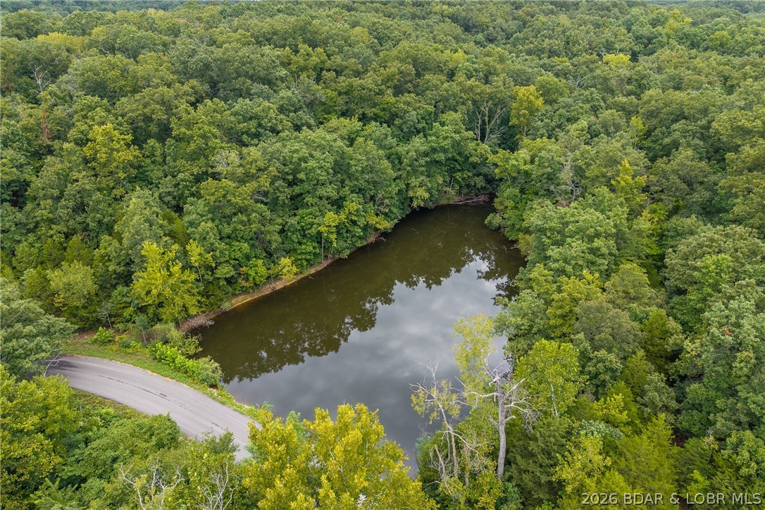 Tbd Brown Bend Property Photo 8