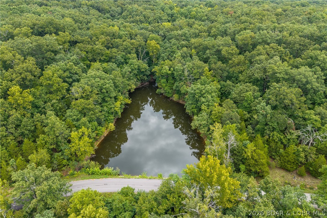 Tbd Brown Bend Property Photo 9