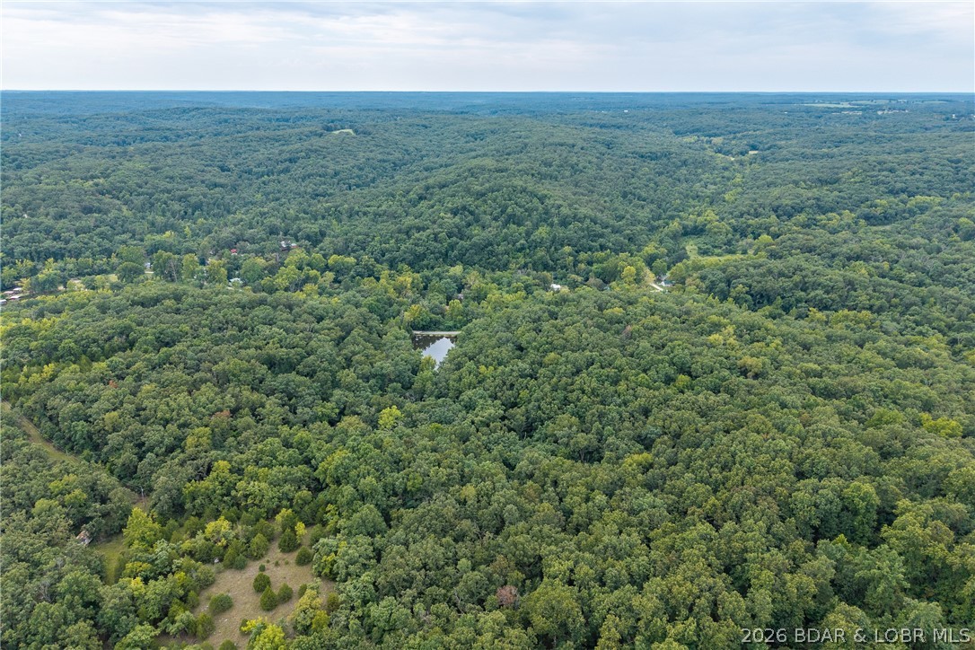 Tbd Brown Bend Property Photo 16