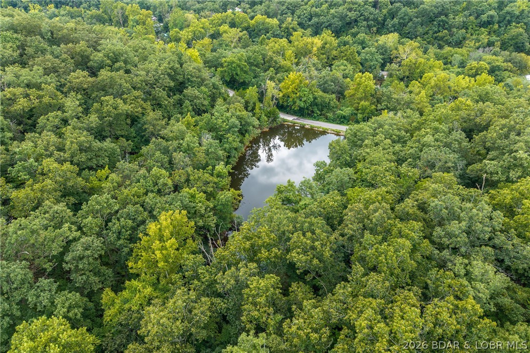 Tbd Brown Bend Property Photo 31