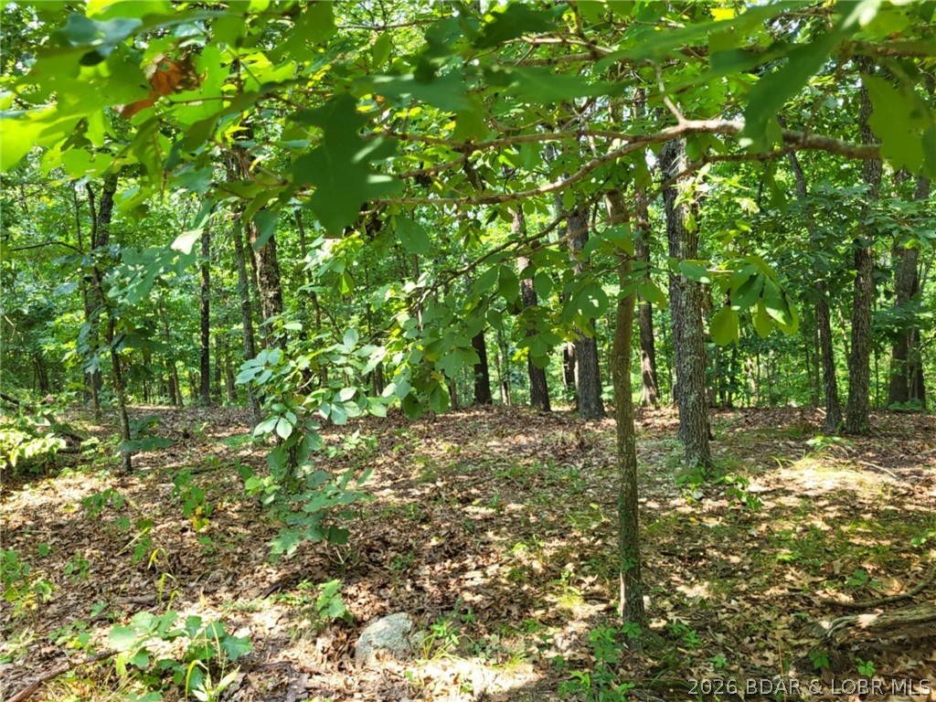 Lee Drive 2020 Property Photo 2