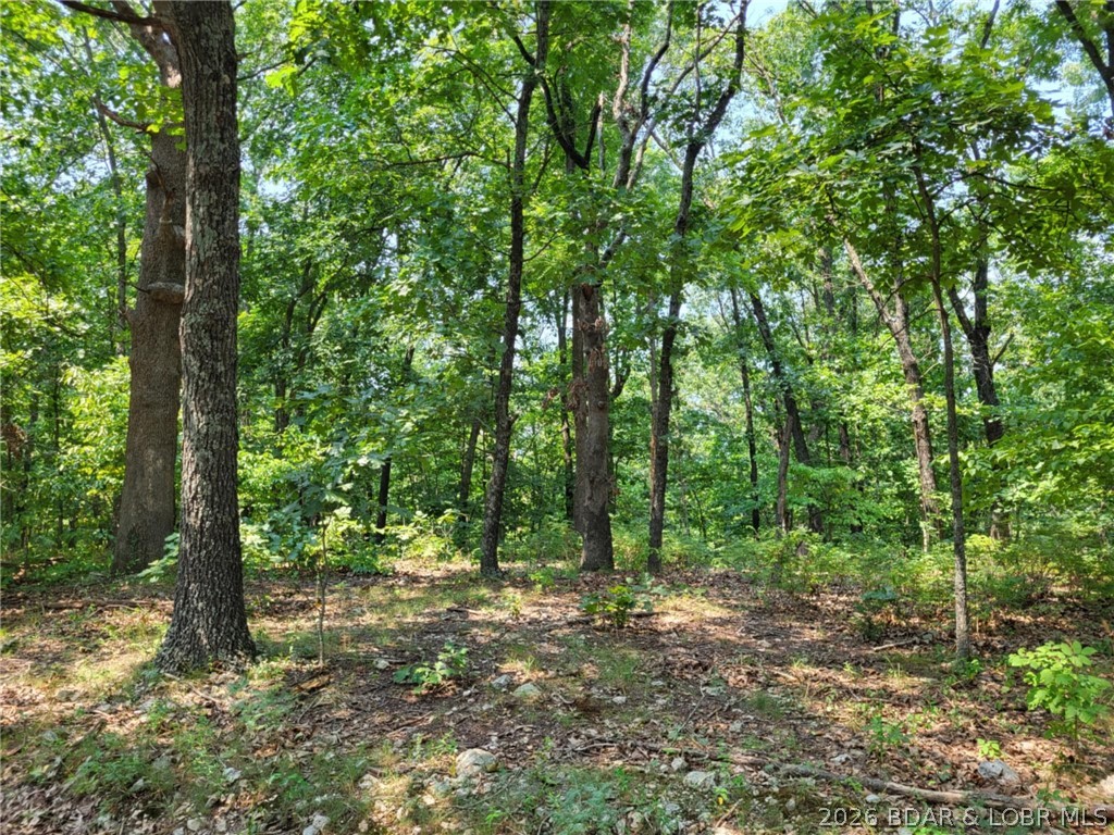 Lee Drive 2020 Property Photo 10