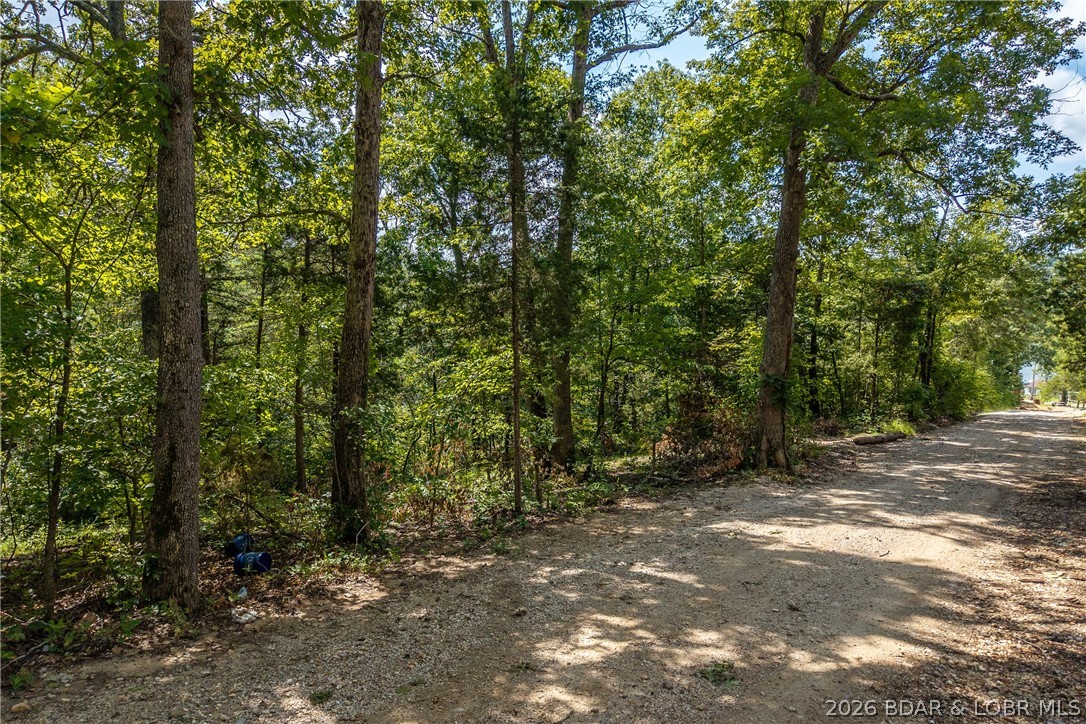 Tbd Oak Cove Road Property Photo 3