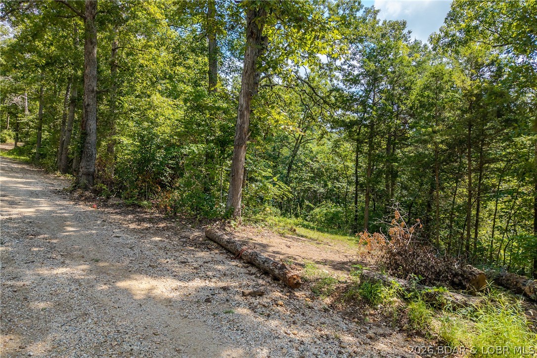 Tbd Oak Cove Road Property Photo 4