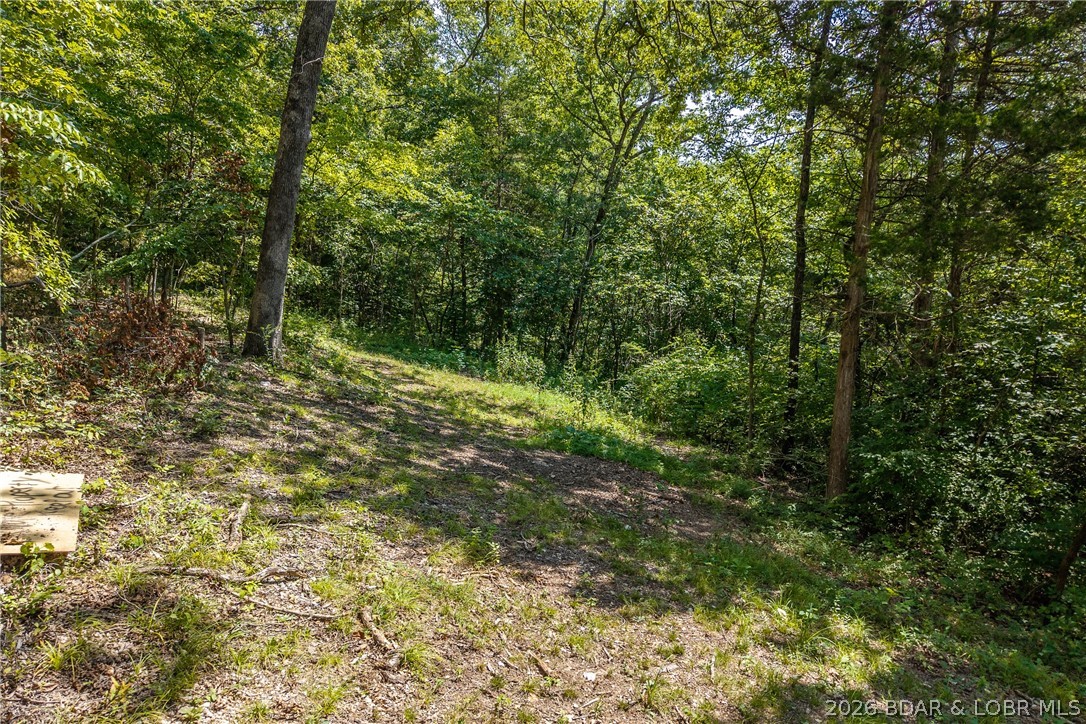 Tbd Oak Cove Road Property Photo 6