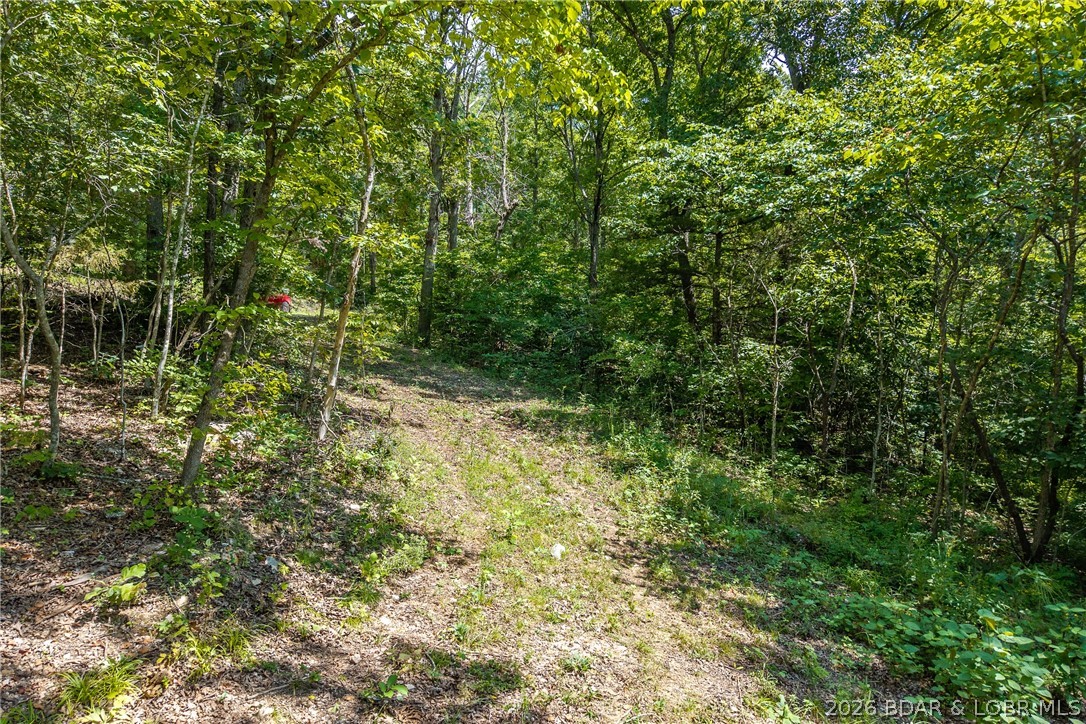 Tbd Oak Cove Road Property Photo 7