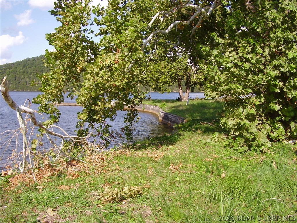 Tbd Decker James Drive Property Photo 7