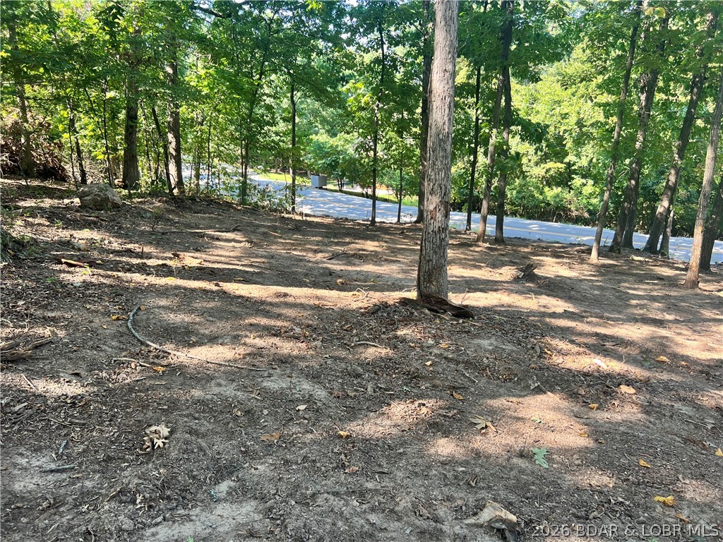 Lot 31 Willow Ridge Road