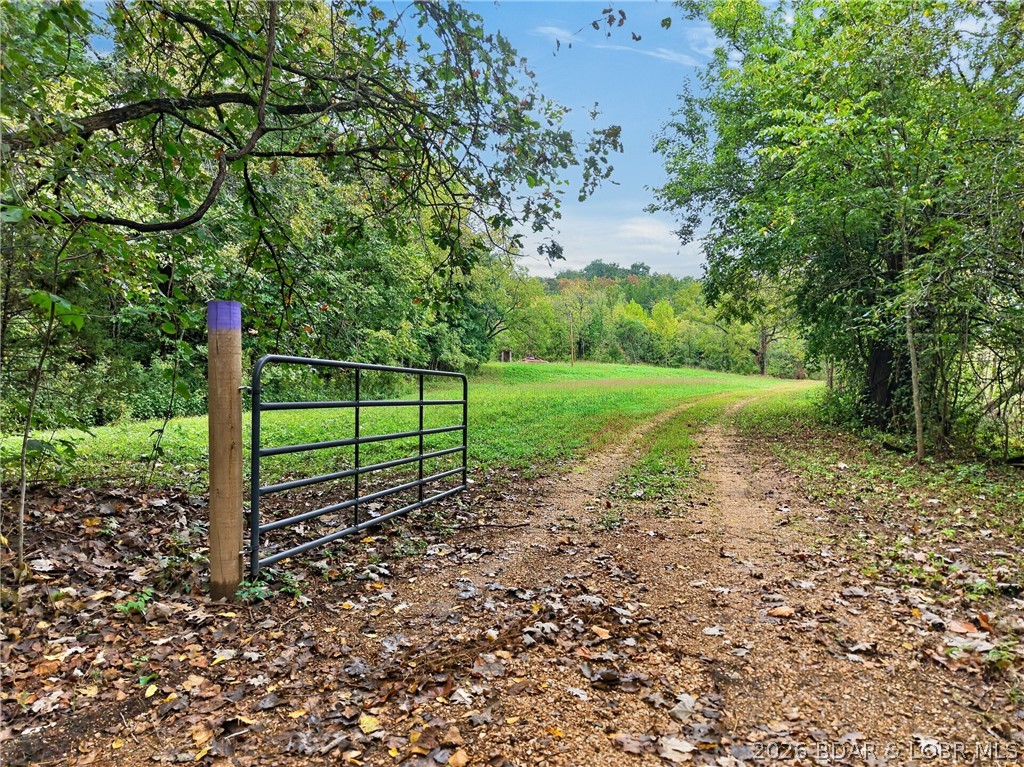 Tbd Witt Road Property Photo 1