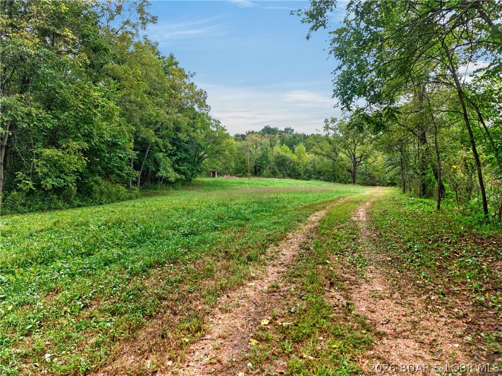 Tbd Witt Road Property Photo 2