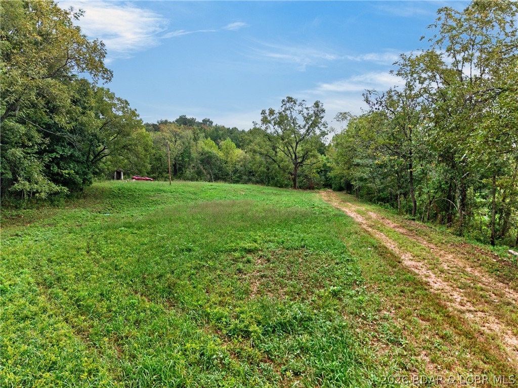 Tbd Witt Road Property Photo 3
