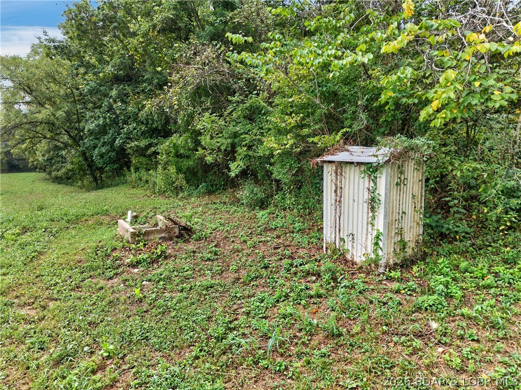 Tbd Witt Road Property Photo 4