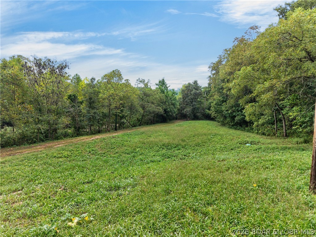Tbd Witt Road Property Photo 5