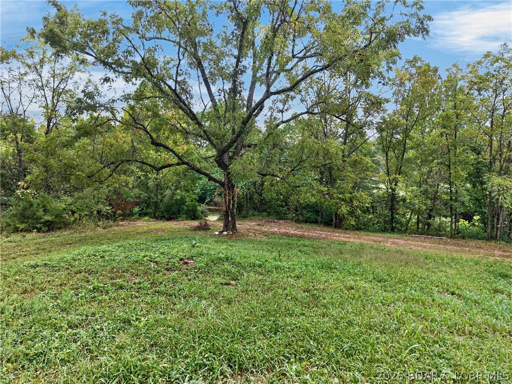 Tbd Witt Road Property Photo 6