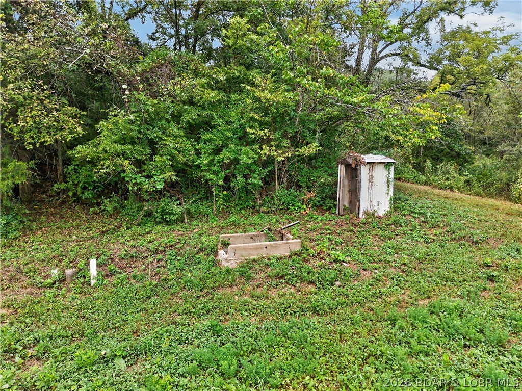 Tbd Witt Road Property Photo 7