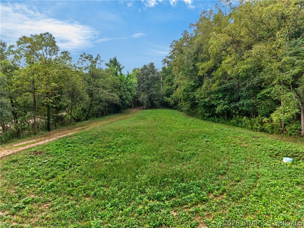 Tbd Witt Road Property Photo 8