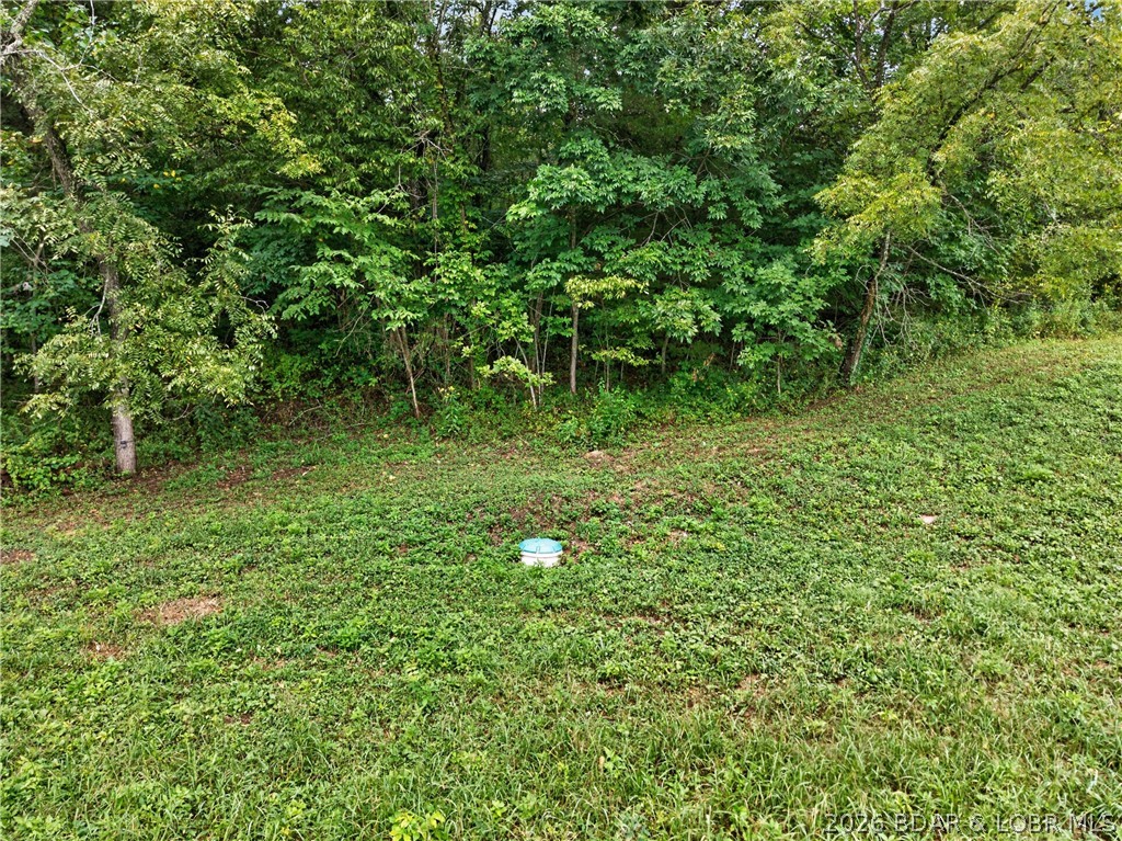 Tbd Witt Road Property Photo 9