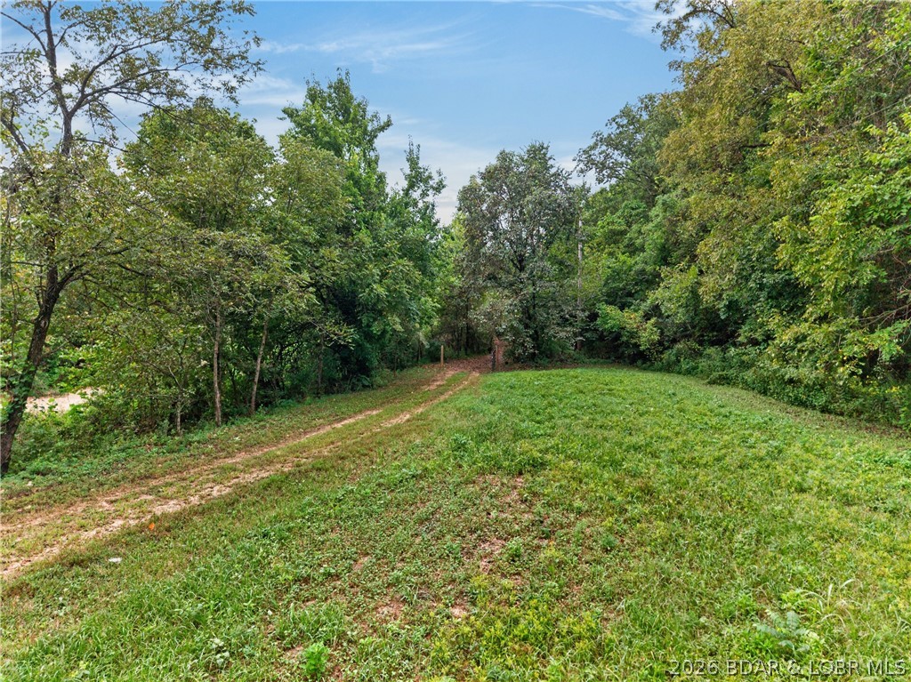 Tbd Witt Road Property Photo 10