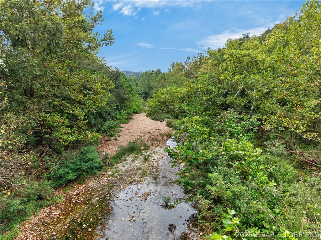 Tbd Witt Road Property Photo 11