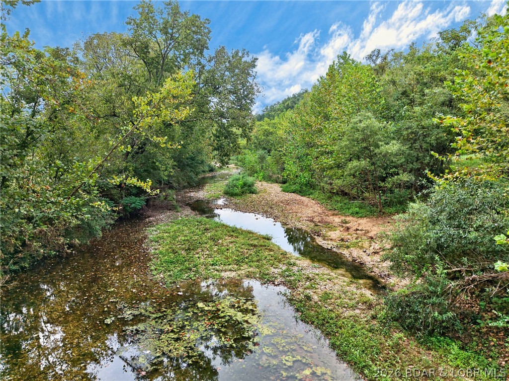 Tbd Witt Road Property Photo 13