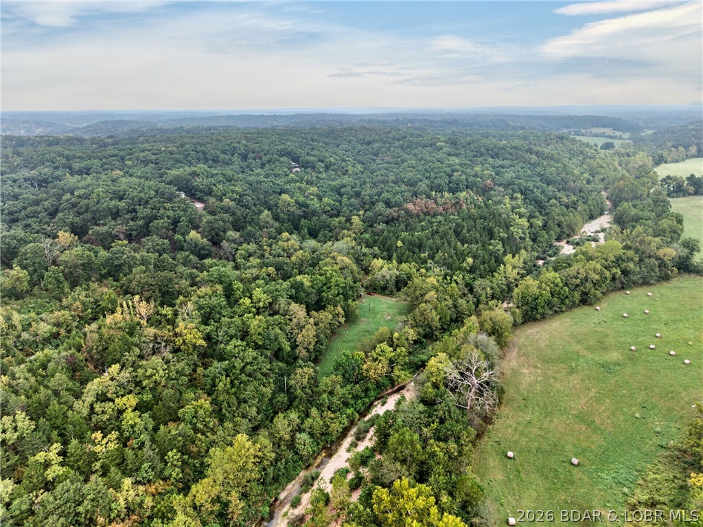 Tbd Witt Road Property Photo 16