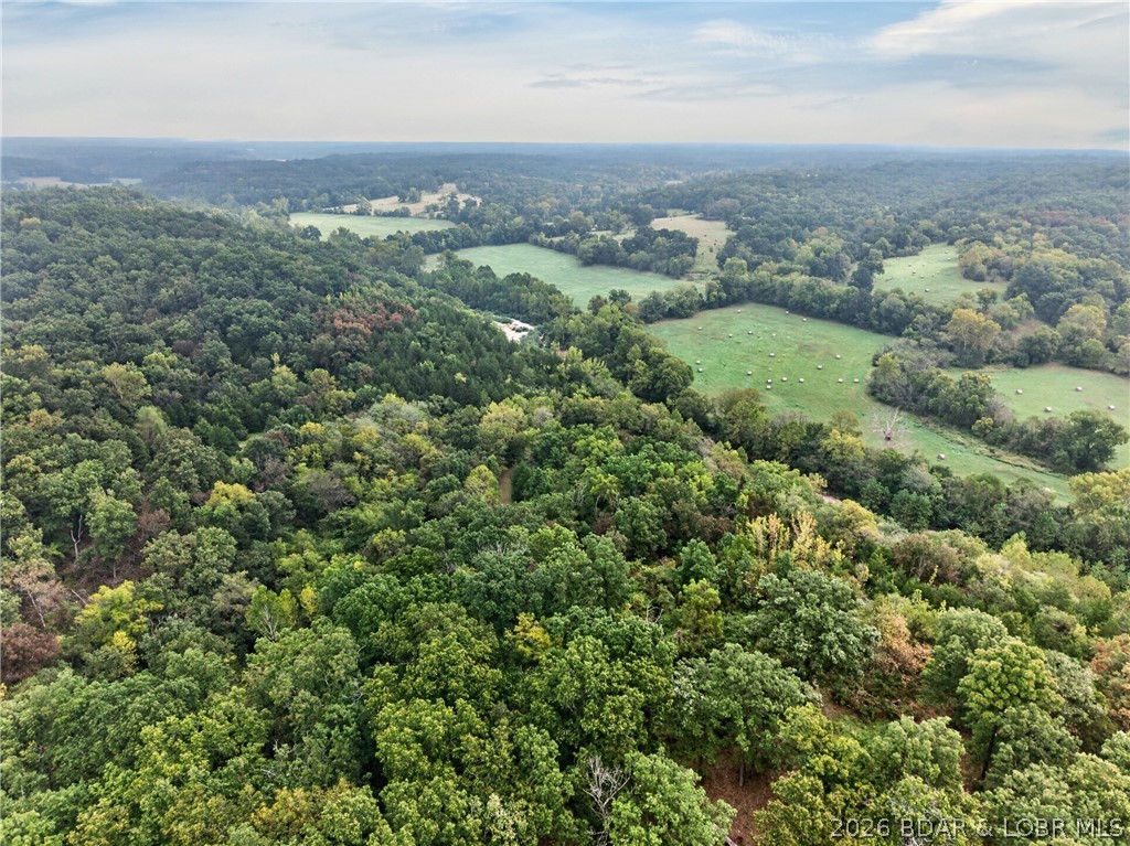 Tbd Witt Road Property Photo 18