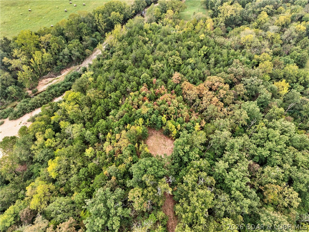 Tbd Witt Road Property Photo 22