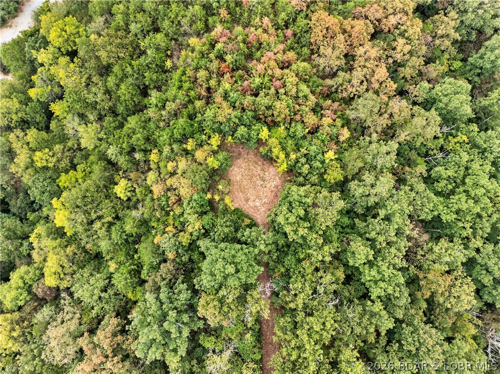 Tbd Witt Road Property Photo 23
