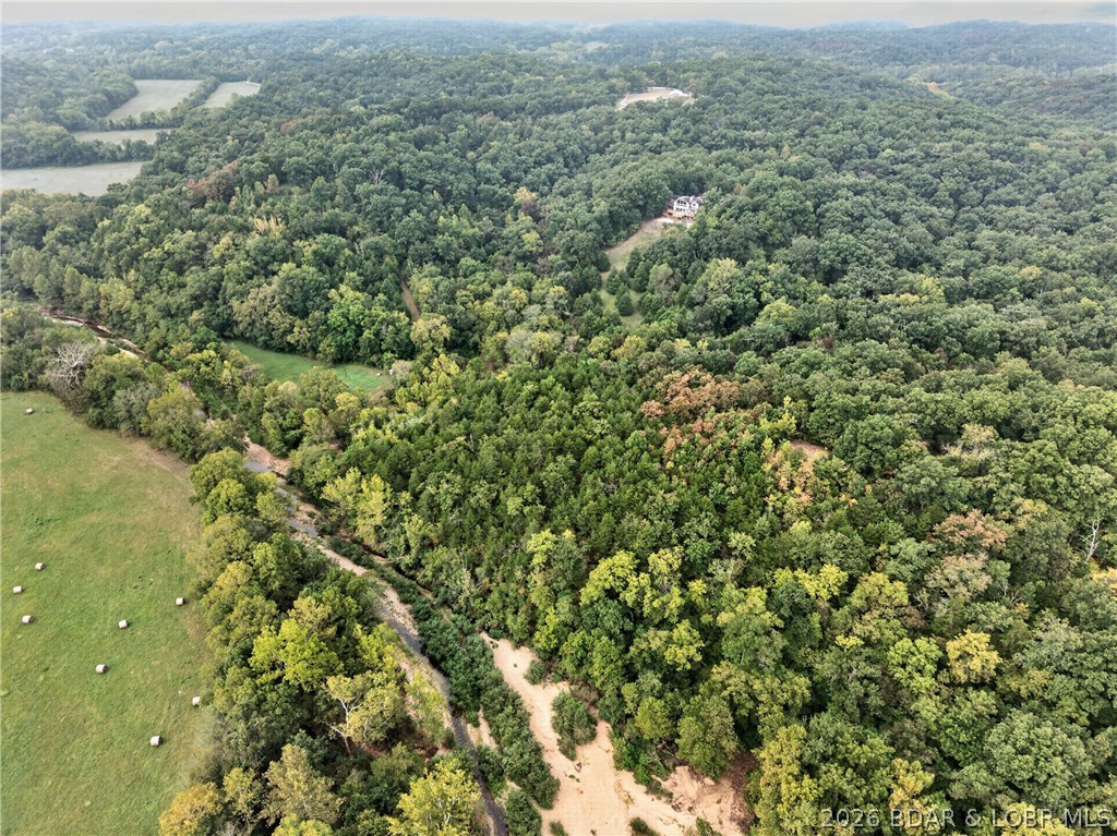 Tbd Witt Road Property Photo 24