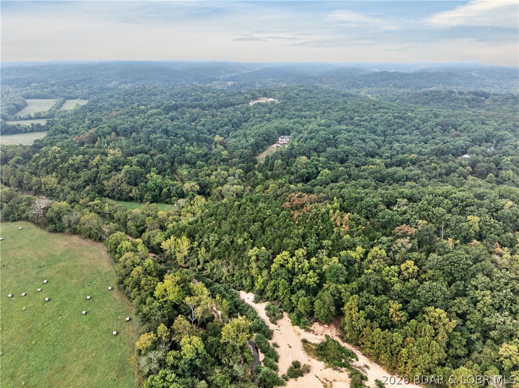 Tbd Witt Road Property Photo 25