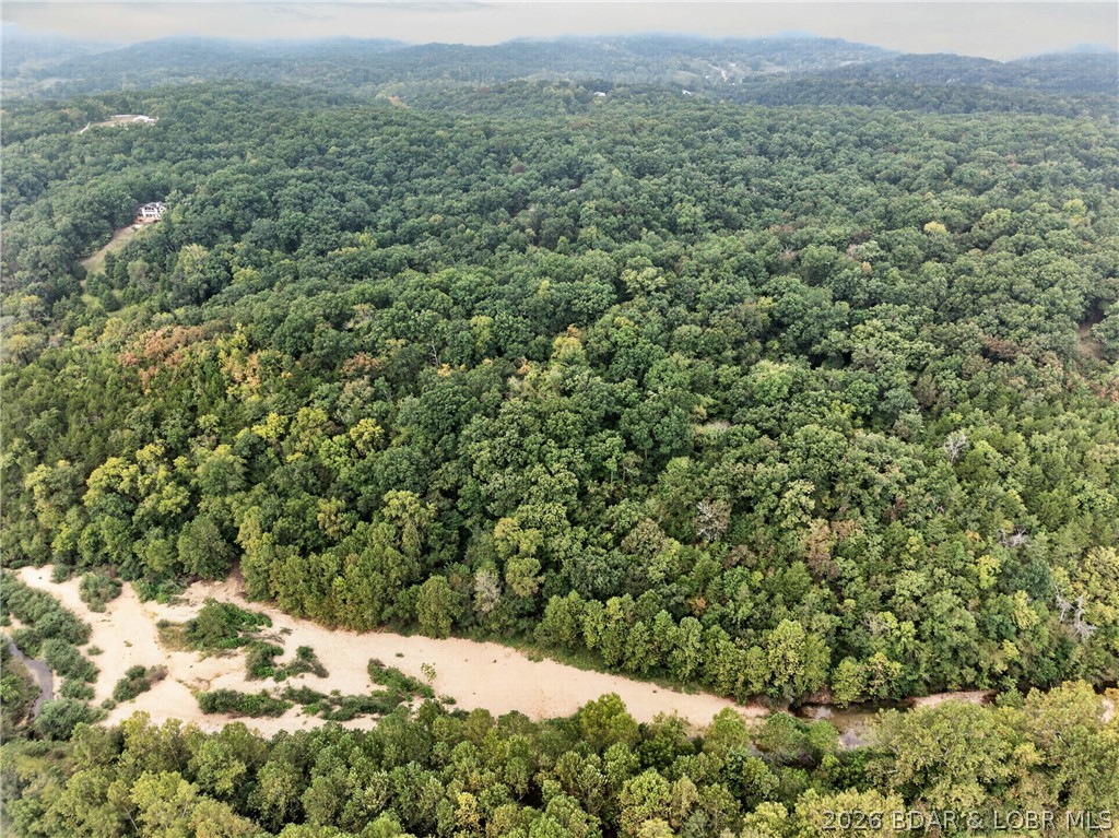 Tbd Witt Road Property Photo 26