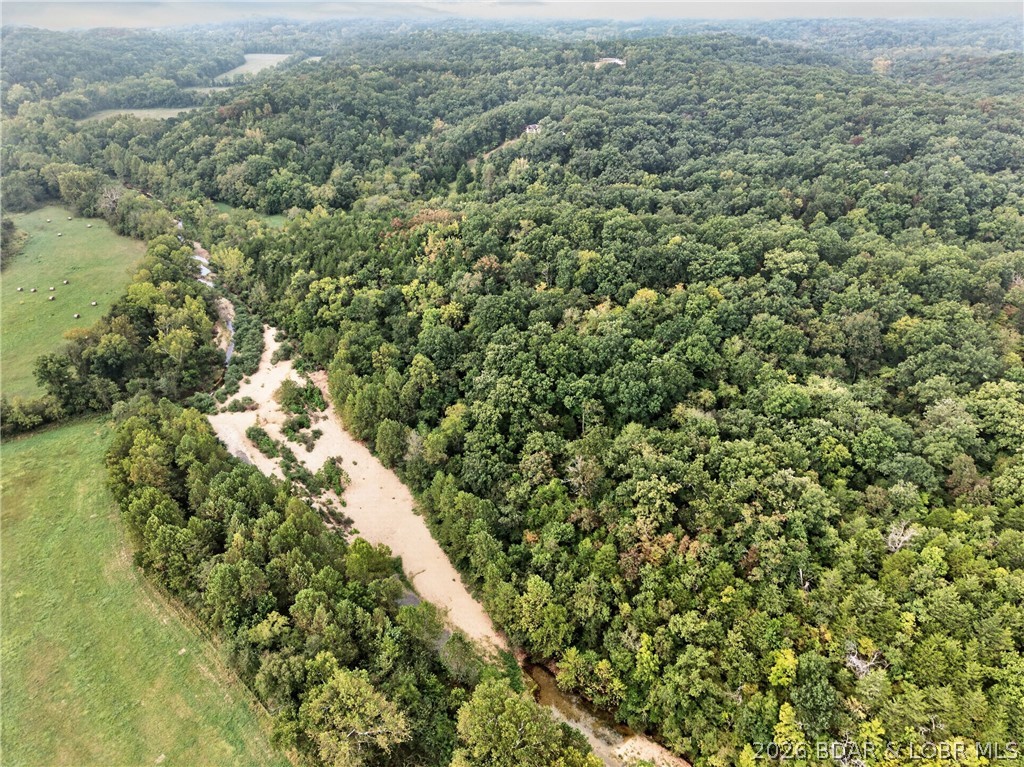 Tbd Witt Road Property Photo 27