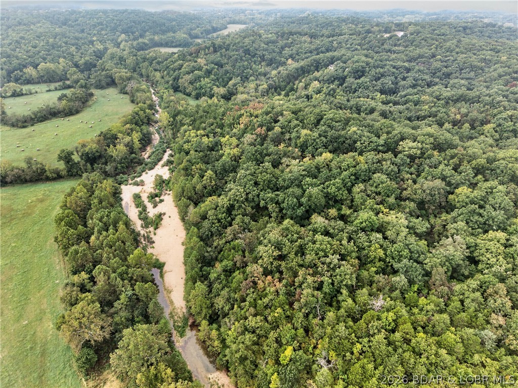 Tbd Witt Road Property Photo 28