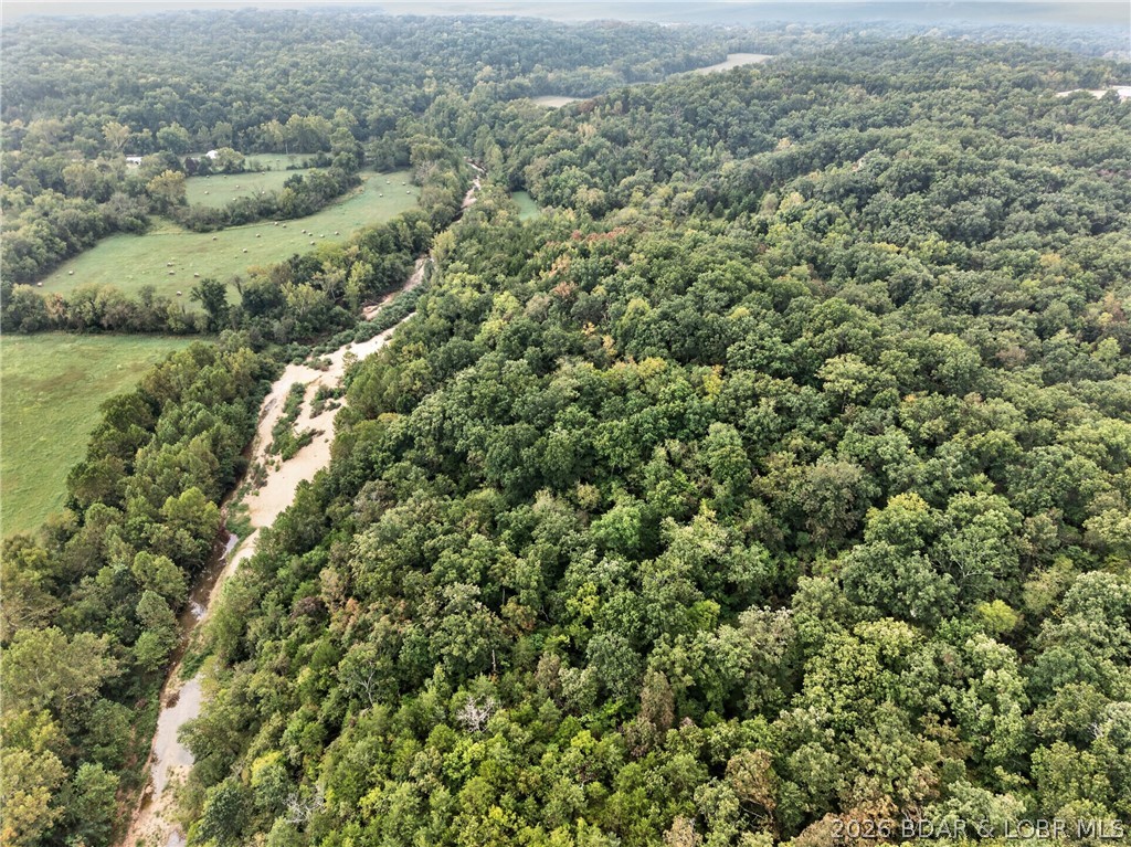 Tbd Witt Road Property Photo 29