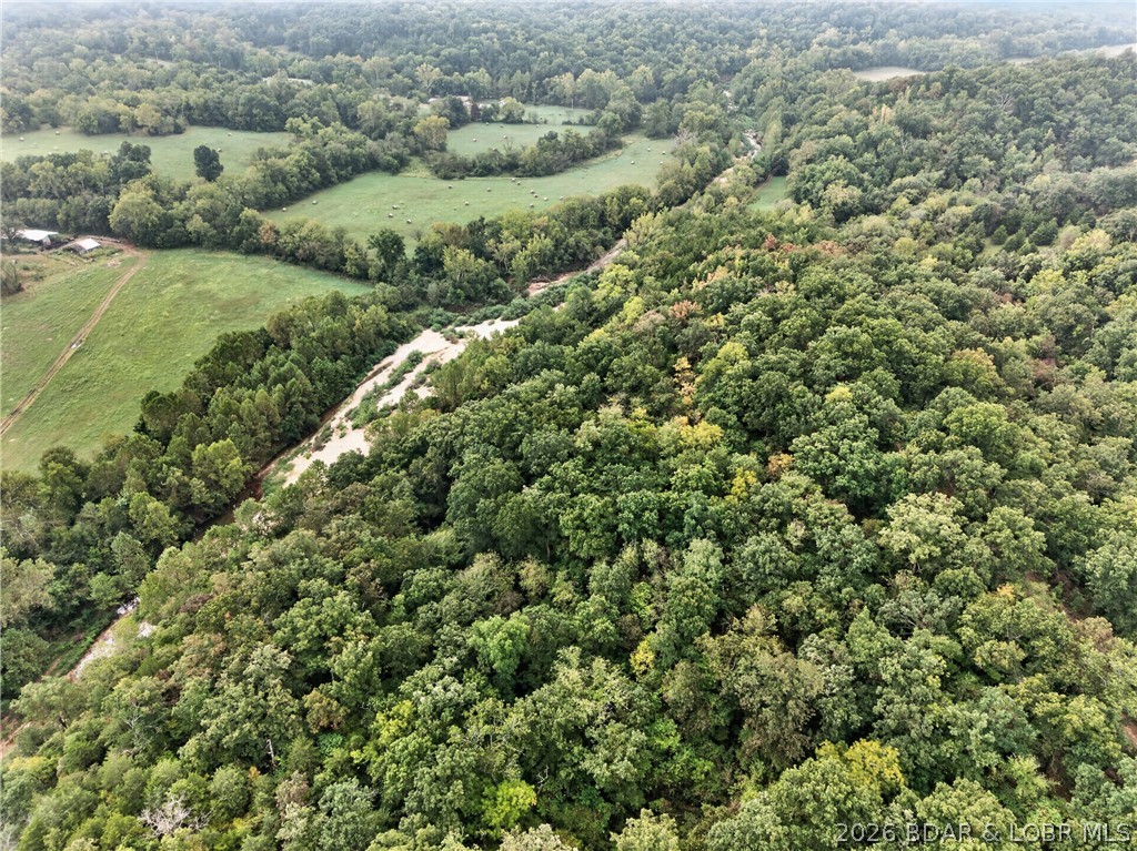 Tbd Witt Road Property Photo 30