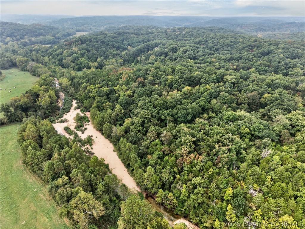Tbd Witt Road Property Photo 31