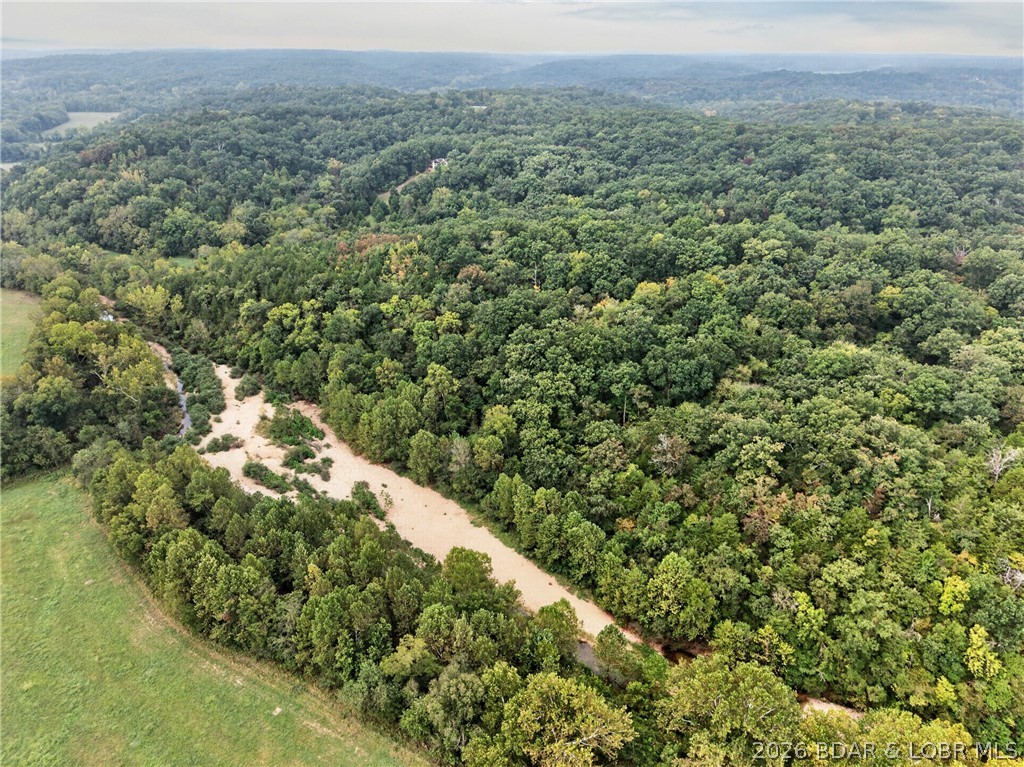 Tbd Witt Road Property Photo 32