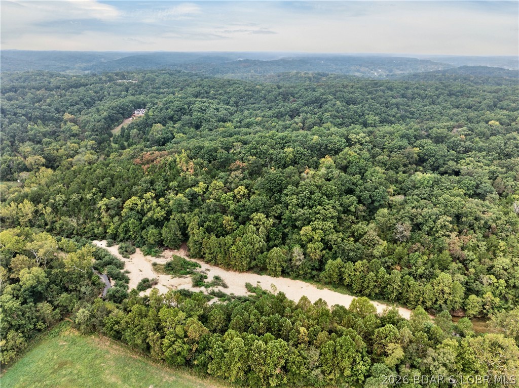 Tbd Witt Road Property Photo 33