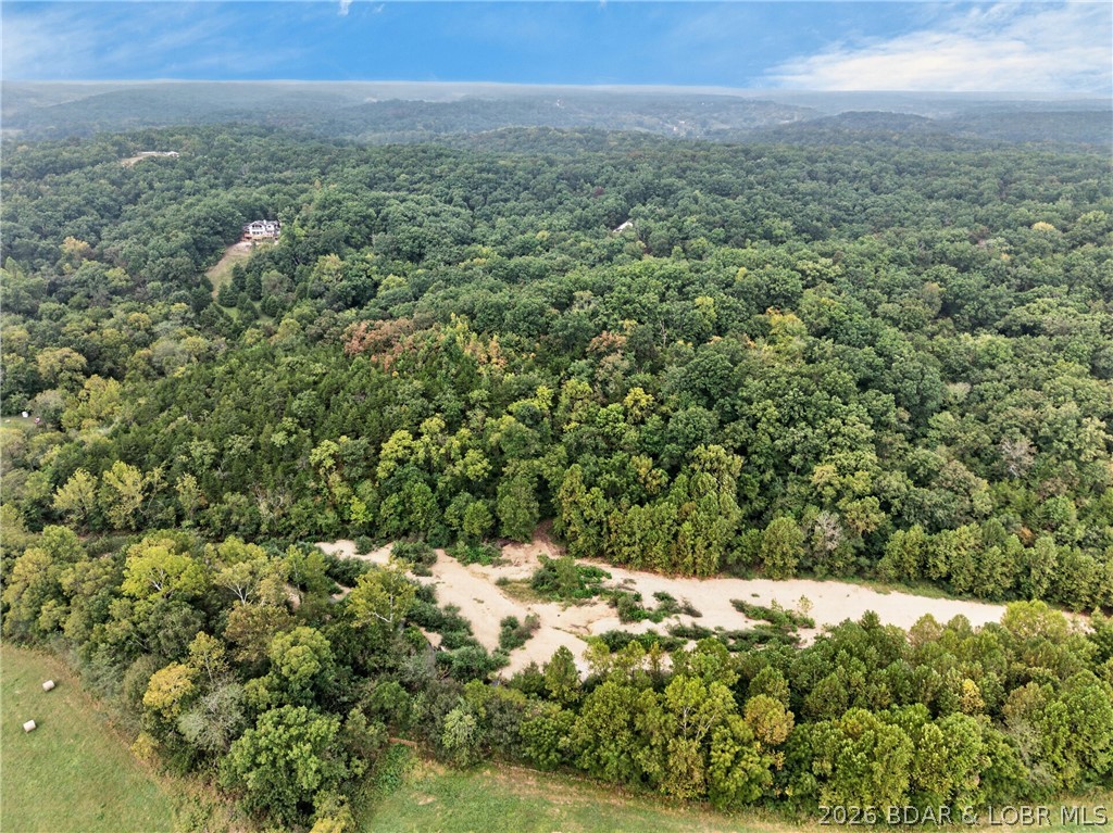 Tbd Witt Road Property Photo 34