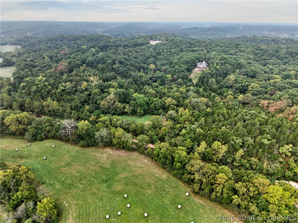 Tbd Witt Road Property Photo 35