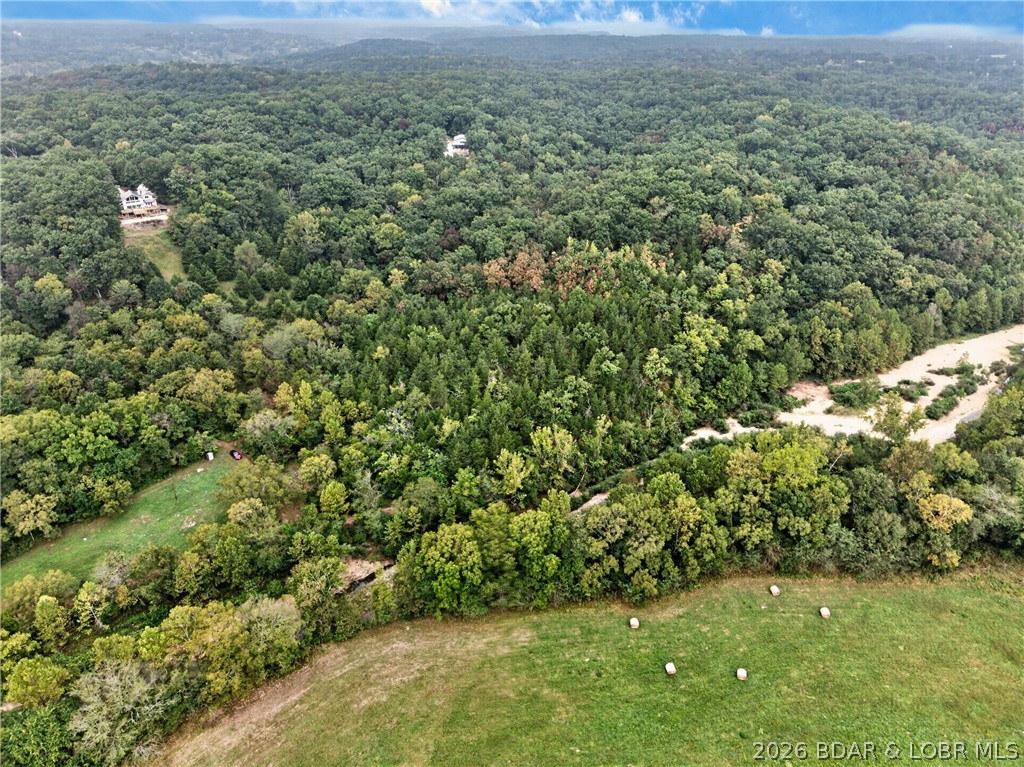 Tbd Witt Road Property Photo 36