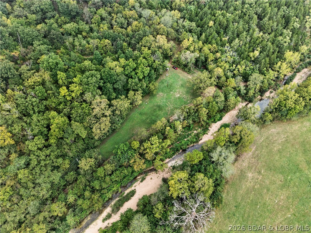 Tbd Witt Road Property Photo 37
