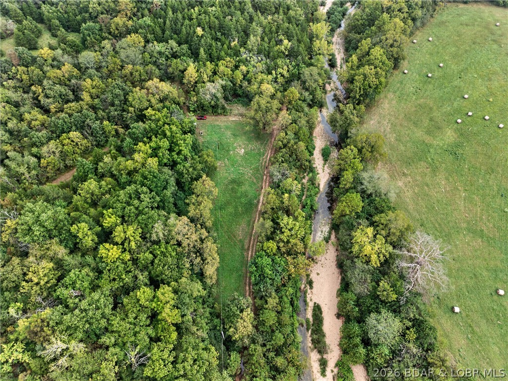 Tbd Witt Road Property Photo 38
