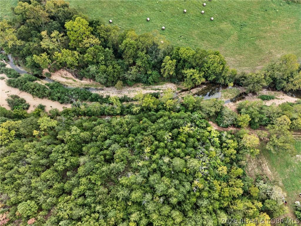 Tbd Witt Road Property Photo 41