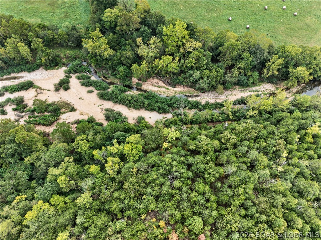 Tbd Witt Road Property Photo 42