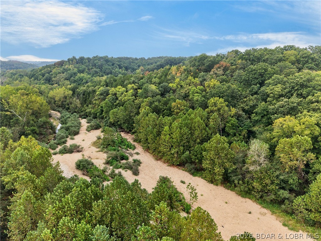 Tbd Witt Road Property Photo 46