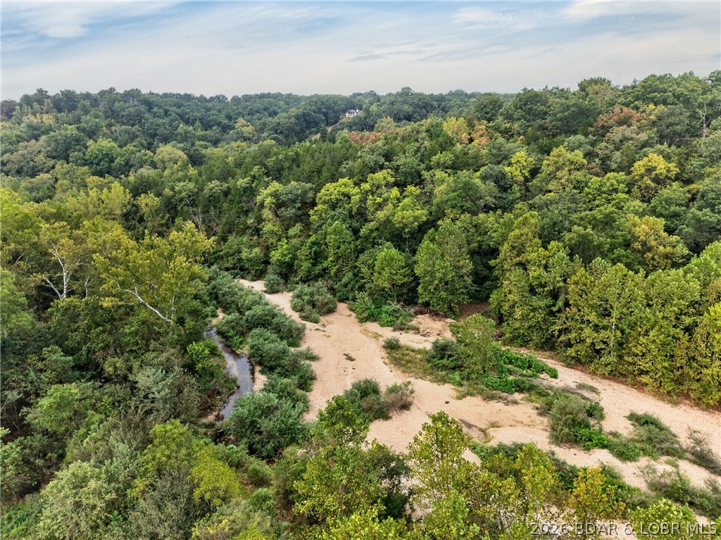 Tbd Witt Road Property Photo 47