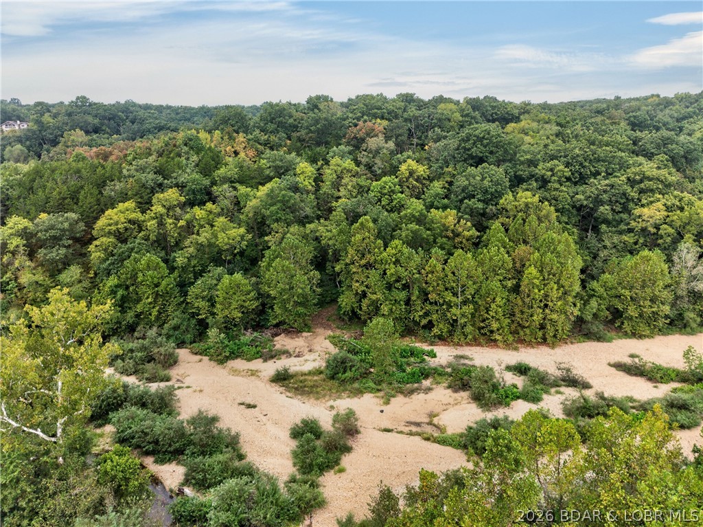 Tbd Witt Road Property Photo 48