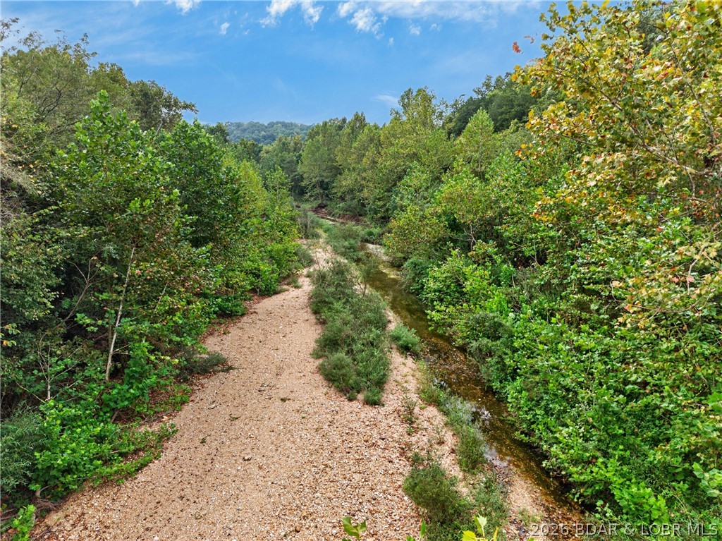 Tbd Witt Road Property Photo 52