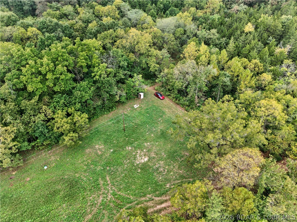 Tbd Witt Road Property Photo 53